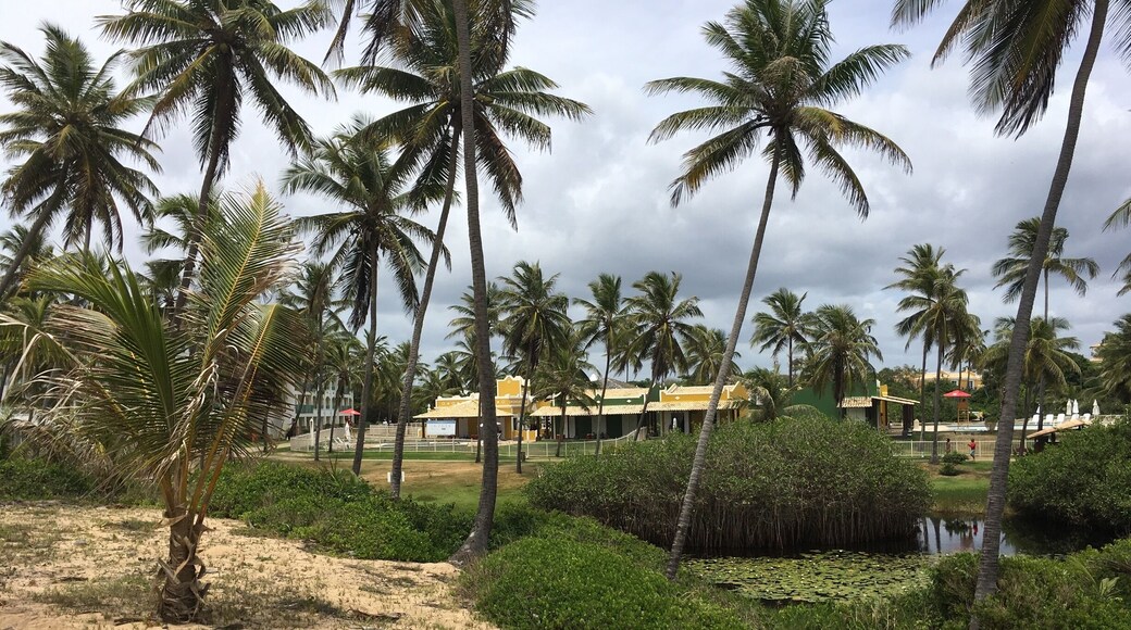 Um bom lugar para recarregar a bateria