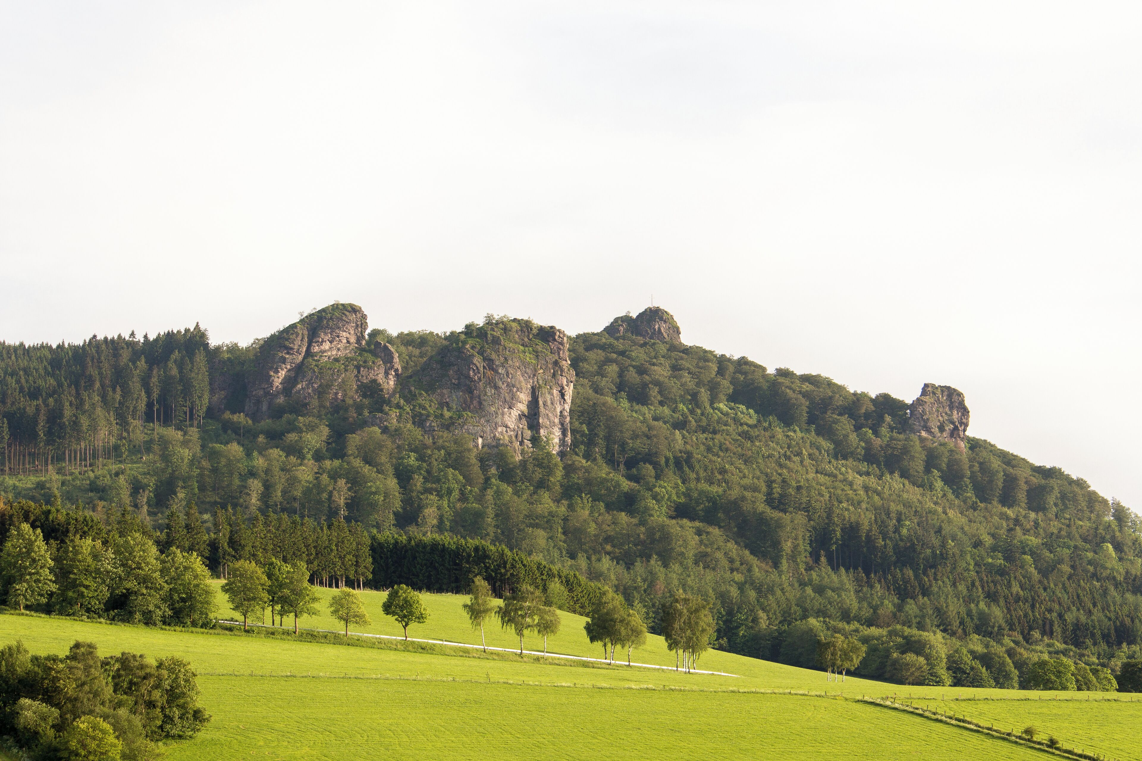 A green field with trees and a rocky hill.