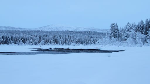 While in Kiruna I made a tour with 'Taube Activity' to into the scandinavian wilderness. It was one of the best trips I've ever done!
