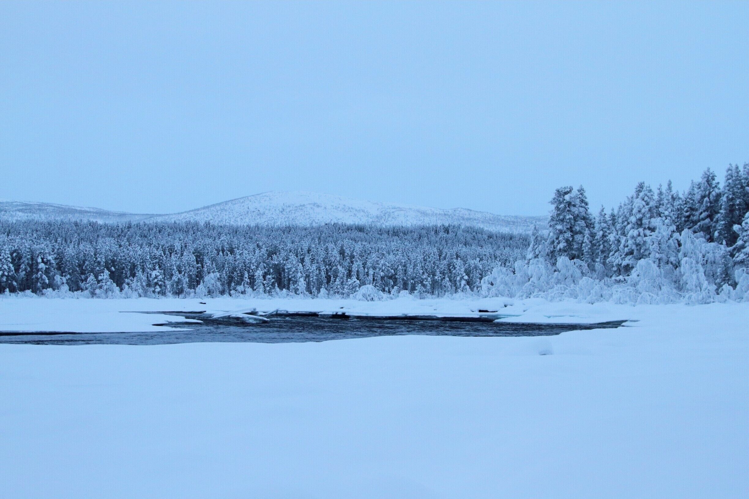 A snow-covered landscape with a river, dense forest, and a snow-capped mountain in the background.