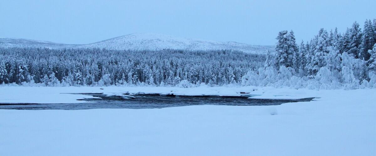 A snow-covered landscape with a river, dense forest, and a snow-capped mountain in the background.