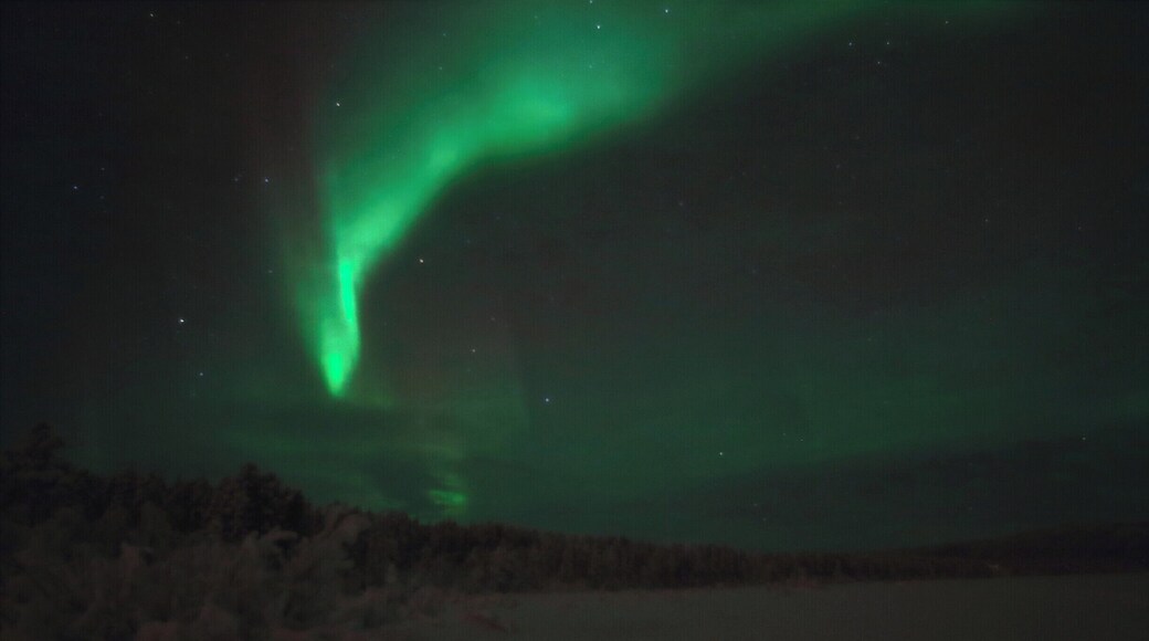 While in Kiruna I made a tour with 'Taube Activity' to into the scandinavian wilderness. It was one of the best trips I've ever done!