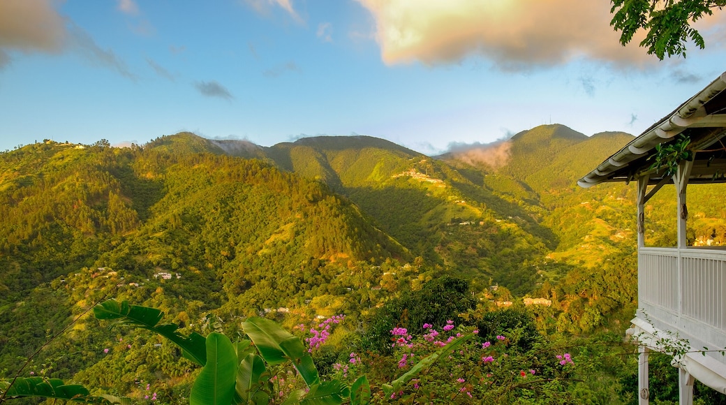House in the Blue Mountains at sunset, Jamaica
