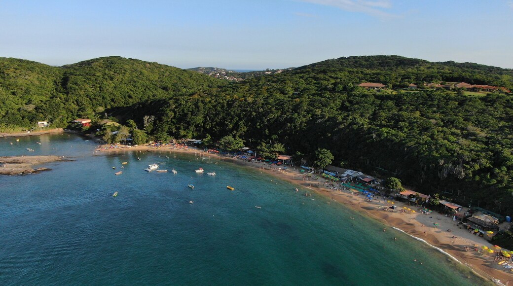 A coastal area with a beach, boats, and a forested hillside.
