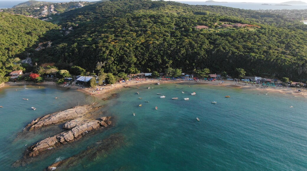 A coastal area with a beach, boats, and a forested hill.