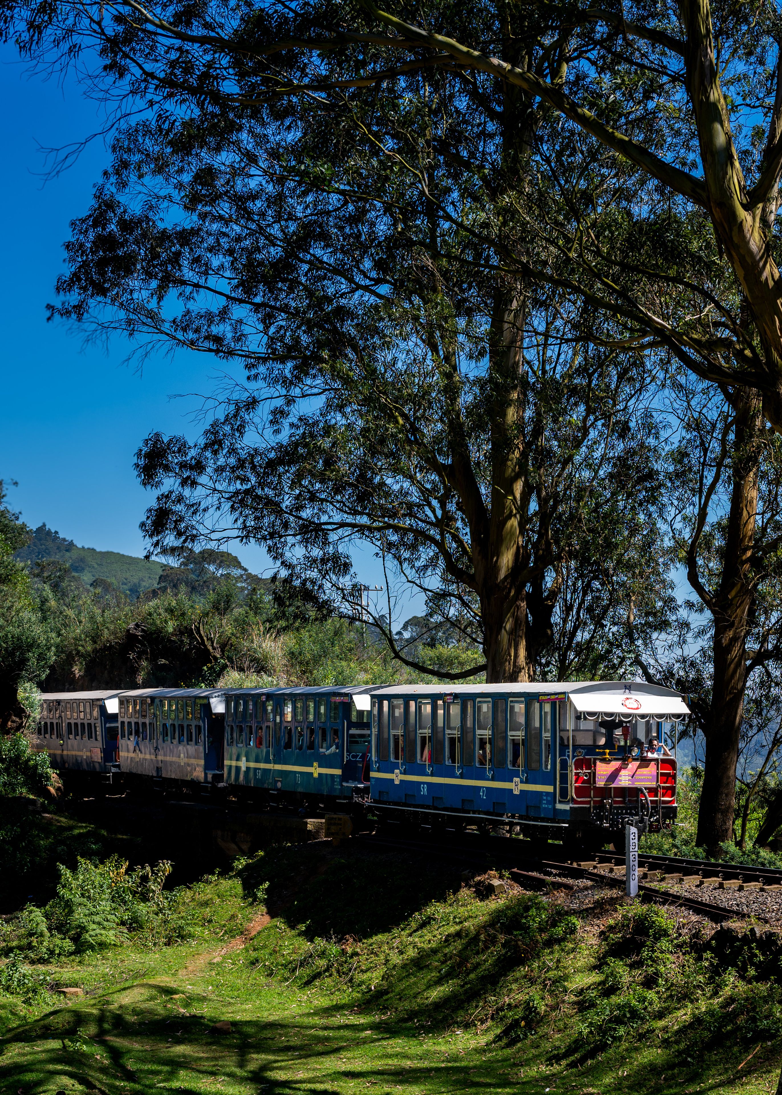 Nilgiri montain railway toy train passing through lush forest in Ooty, India