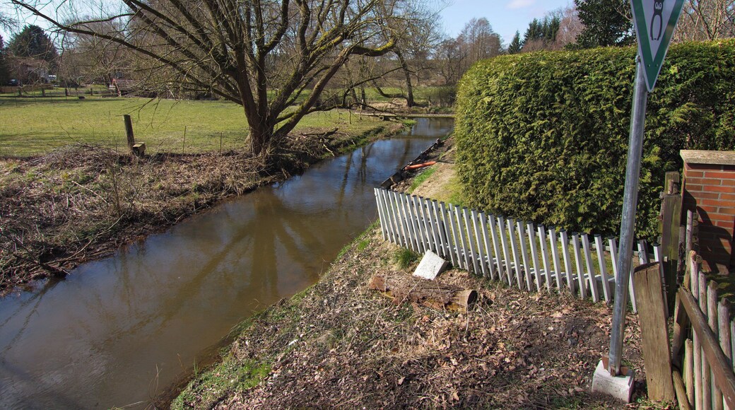 Blick auf die Luhe in Steinbeck (Bispingen), Niedersachsen, Deutschland