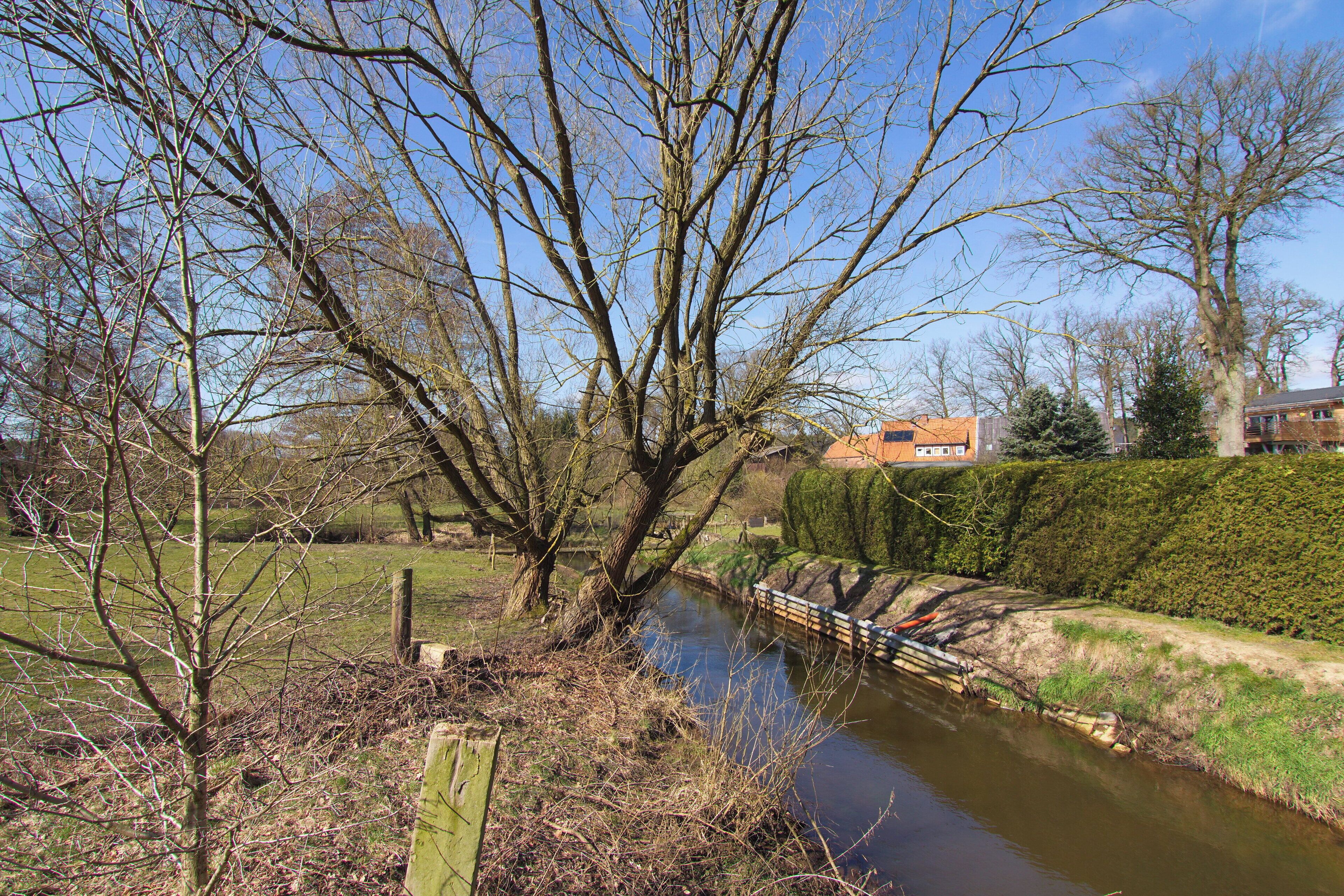 Blick auf die Luhe in Steinbeck (Bispingen), Niedersachsen, Deutschland
