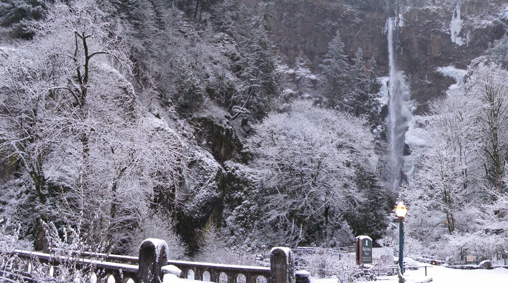 Multnomah Falls in the Winter with Snow