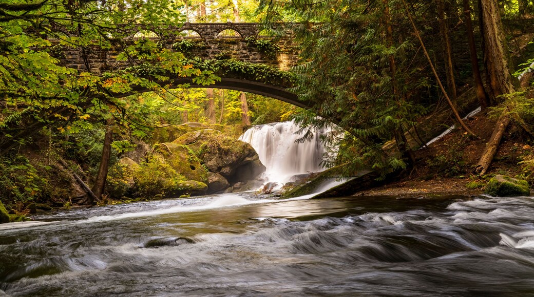 Bellingham City Center