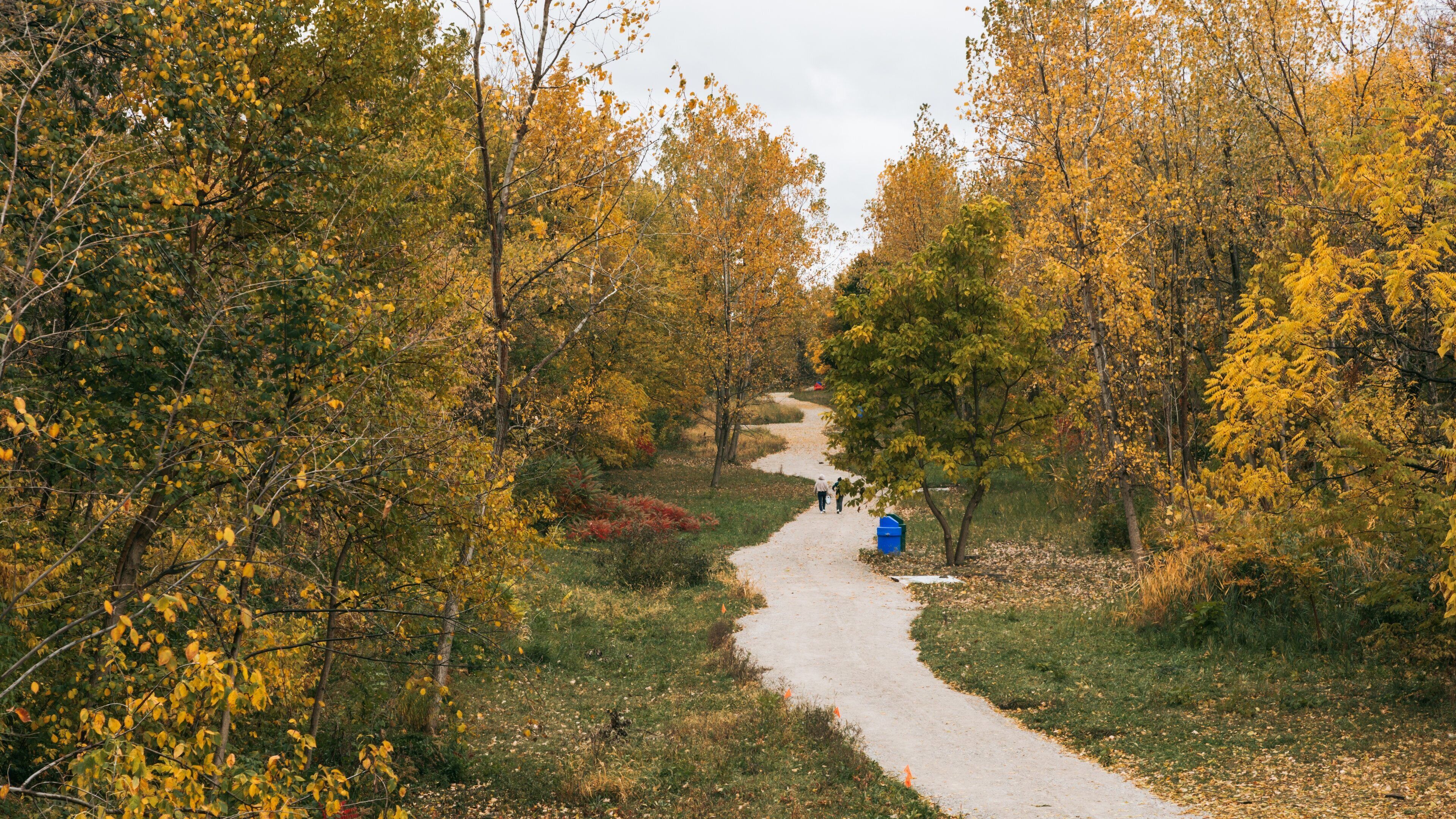 Bridgeview featuring a park and autumn leaves