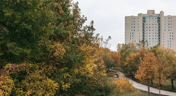 Bridgeview showing a garden and fall colors