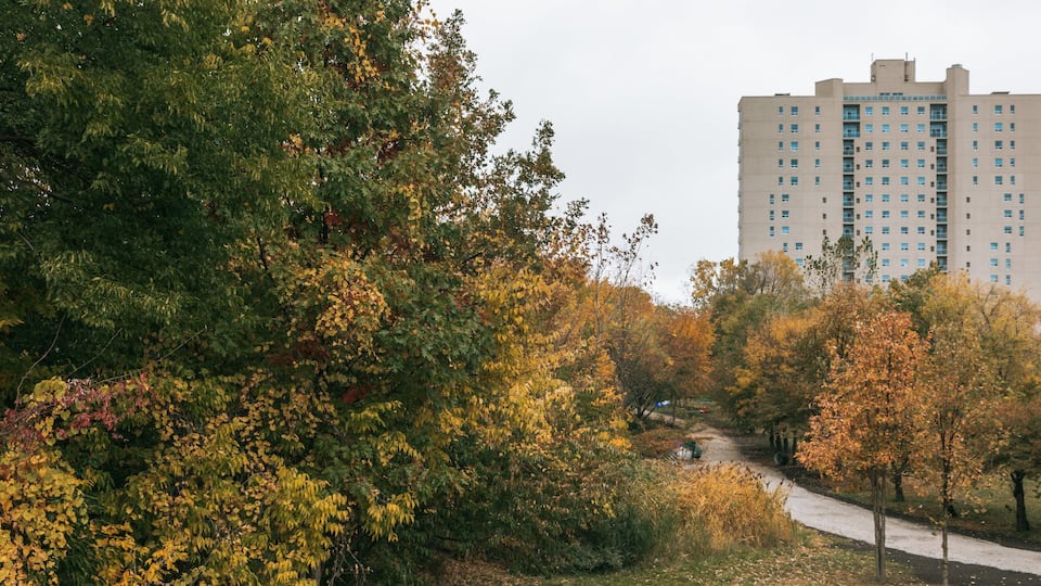 Bridgeview showing a garden and fall colors