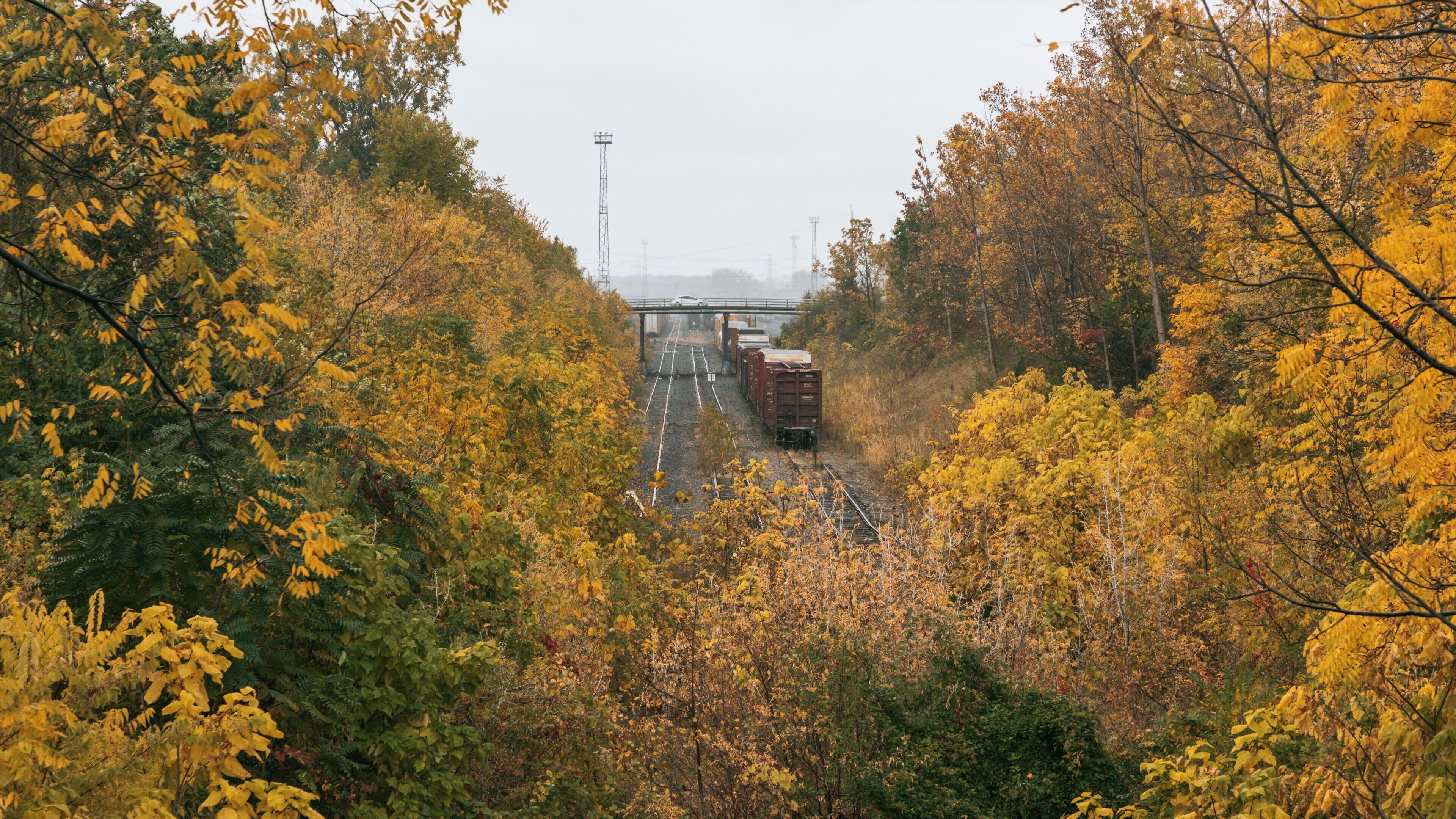 Bridgeview showing landscape views and fall colors