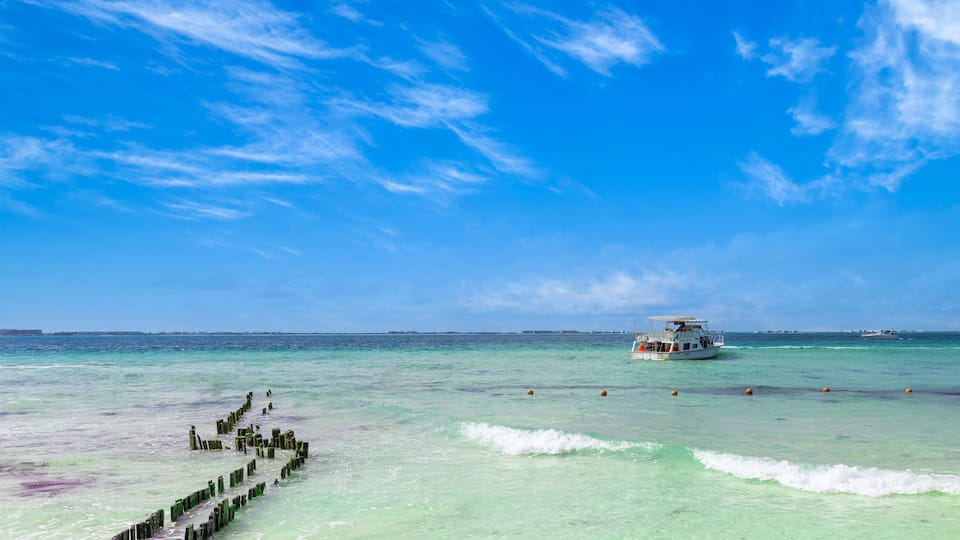 Mexico, Cancun, Isla Mujeres, Playa Norte sand beach with palm trees waiting for tourists.