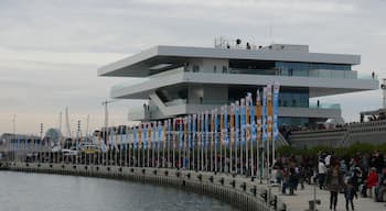 Imatges de Valรจncia en 2010, durant la 33 Copa de l'Amรจrica de Vela.