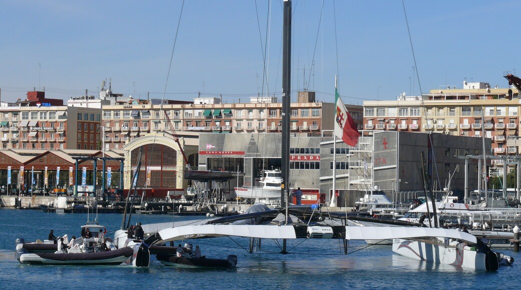 Imatges de València en 2010, durant la 33 Copa de l'Amèrica de Vela.