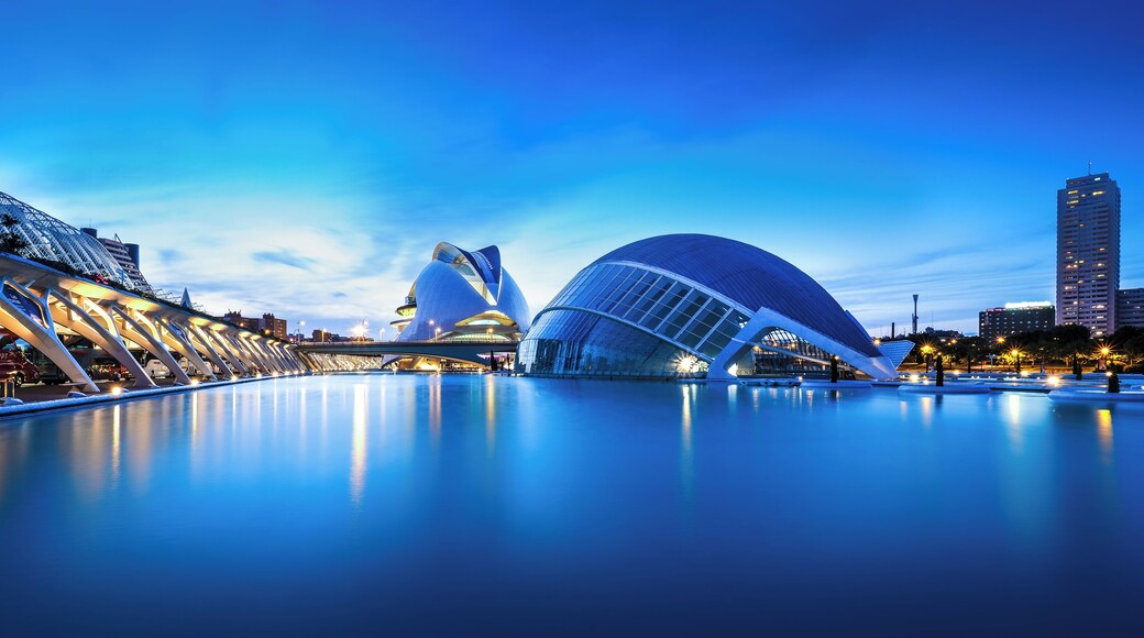 Ciutat de les Arts i les CiĂšncies (City of Arts and Sciences) at night, Valencia, Spain