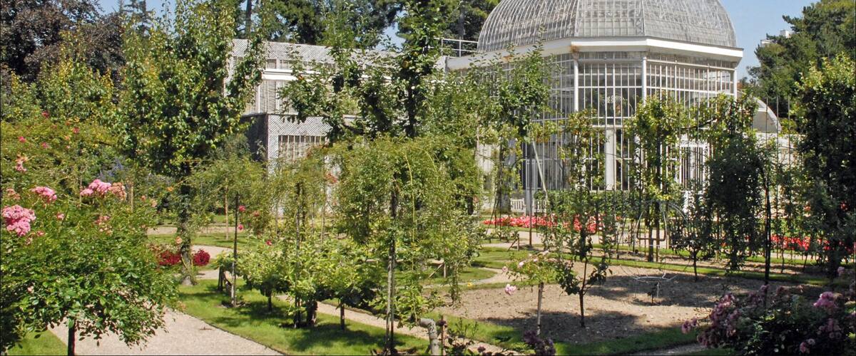 La roseraie dans le jardin français et la serre Propriété du Conseil général des Hauts-de-Seine, le musée Albert-Kahn de Boulogne-Billancourt est entièrement dédié à l’œuvre de ce banquier philanthrope. Le musée conserve "les Archives de la Planète", photographies et films issus de campagnes initiées dans le monde entier à la demande d'Albert Khan par plusieurs "opérateurs" (photographes, cinéastes) au début du XXème siècle. Les 4 hectares de jardins, partie intégrante des collections, permettent un voyage végétal autour du monde. Site du musée www.albert-kahn.fr/les-jardins/histoire-des-jardins/