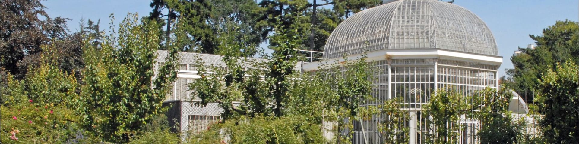 La roseraie dans le jardin français et la serre Propriété du Conseil général des Hauts-de-Seine, le musée Albert-Kahn de Boulogne-Billancourt est entièrement dédié à l’œuvre de ce banquier philanthrope. Le musée conserve "les Archives de la Planète", photographies et films issus de campagnes initiées dans le monde entier à la demande d'Albert Khan par plusieurs "opérateurs" (photographes, cinéastes) au début du XXème siècle. Les 4 hectares de jardins, partie intégrante des collections, permettent un voyage végétal autour du monde. Site du musée www.albert-kahn.fr/les-jardins/histoire-des-jardins/