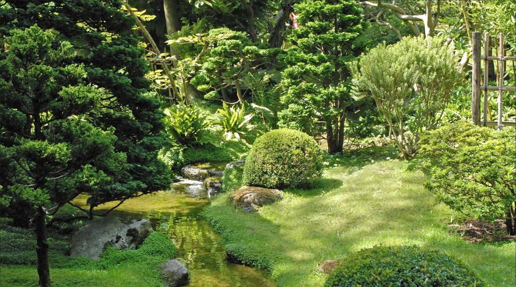 Ruisseau dans le jardin japonais Propriété du Conseil général des Hauts-de-Seine, le musée Albert-Kahn de Boulogne-Billancourt est entièrement dédié à l’œuvre de ce banquier philanthrope. Le musée conserve "les Archives de la Planète", photographies et films issus de campagnes initiées dans le monde entier à la demande d'Albert Khan par plusieurs "opérateurs" (photographes, cinéastes) au début du XXème siècle. Les 4 hectares de jardins, partie intégrante des collections, permettent un voyage végétal autour du monde. Site du musée www.albert-kahn.fr/les-jardins/histoire-des-jardins/