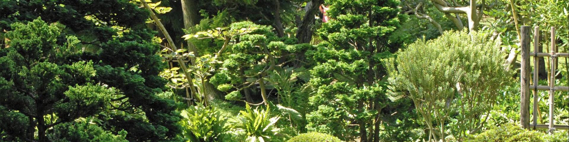 Ruisseau dans le jardin japonais Propriété du Conseil général des Hauts-de-Seine, le musée Albert-Kahn de Boulogne-Billancourt est entièrement dédié à l’œuvre de ce banquier philanthrope. Le musée conserve "les Archives de la Planète", photographies et films issus de campagnes initiées dans le monde entier à la demande d'Albert Khan par plusieurs "opérateurs" (photographes, cinéastes) au début du XXème siècle. Les 4 hectares de jardins, partie intégrante des collections, permettent un voyage végétal autour du monde. Site du musée www.albert-kahn.fr/les-jardins/histoire-des-jardins/