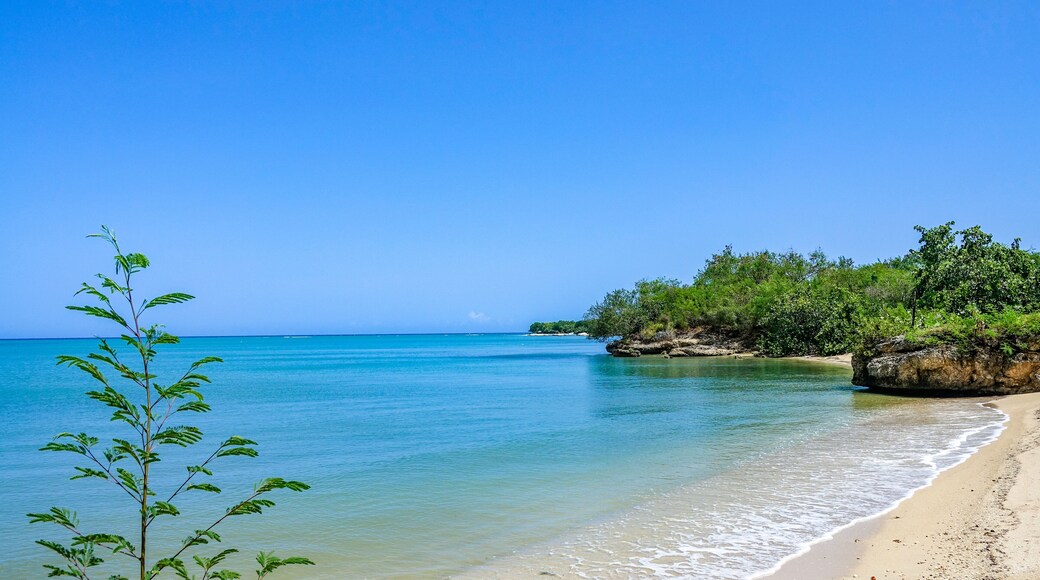 ์ ํธ์๋ธ๋ฆฌํ