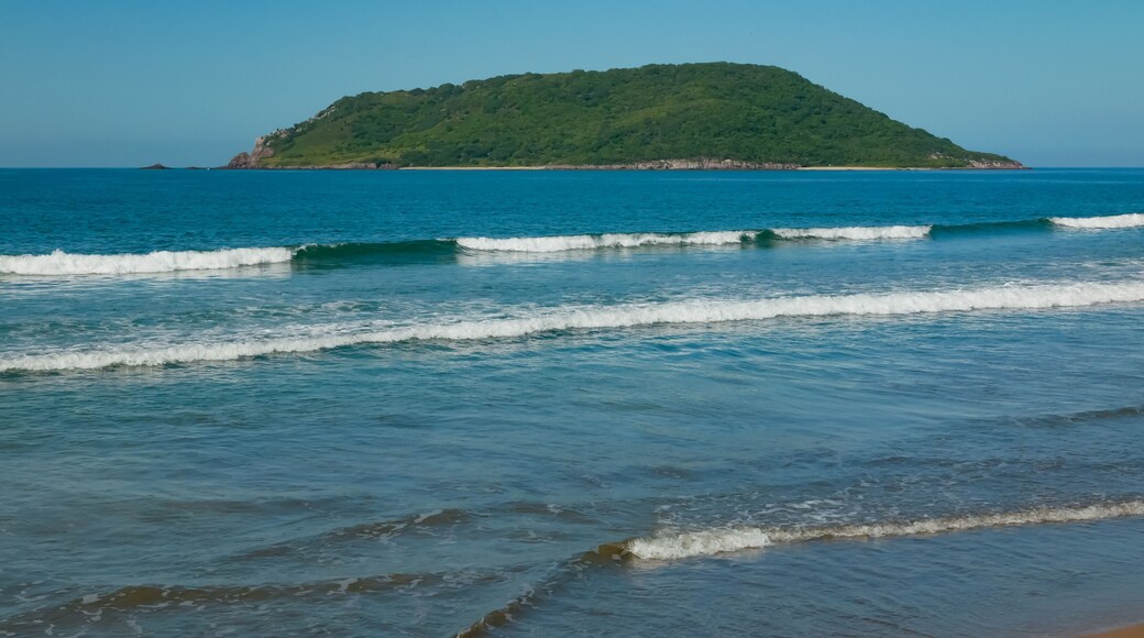 Empty paradise Camaron Beach with Birds Island as background (Isla de los Pajaros) in Mazatlan, Mexico