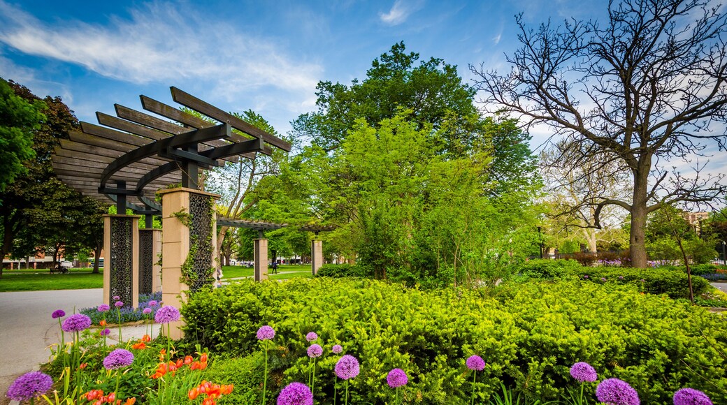 The Allan Gardens, in the Garden District, Toronto, Ontario.