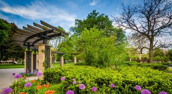 The Allan Gardens, in the Garden District, Toronto, Ontario.