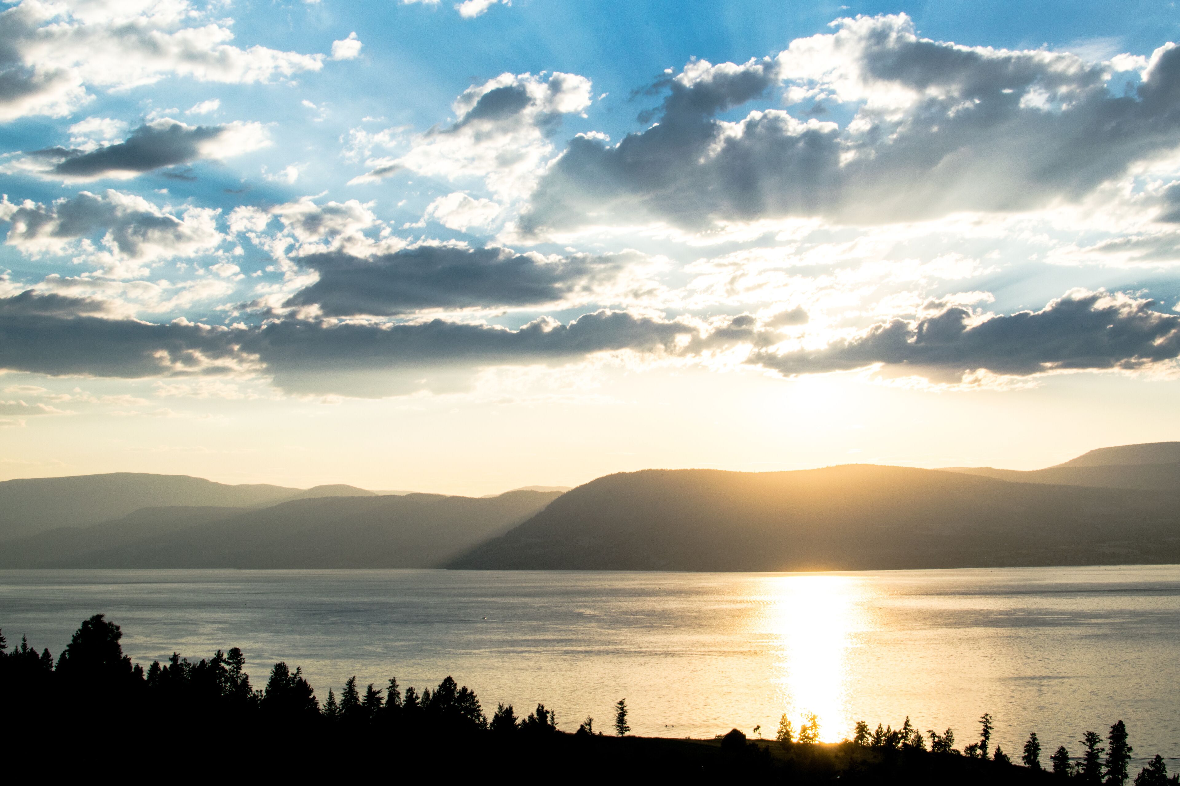 Okanagan Landscape
