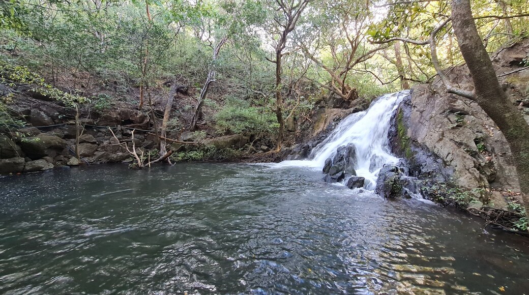 Rincon de La Vieja National Park in Costa Rica