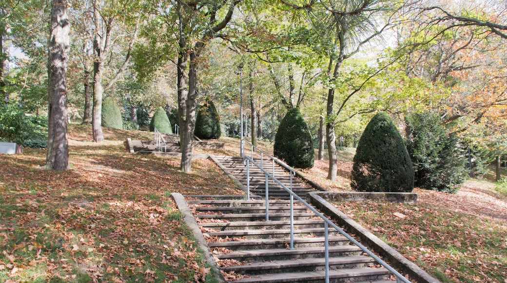 Stairs to the Massenet theater.