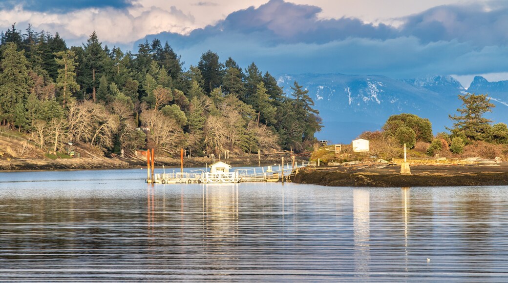 Cold ocean view from Departure Bay