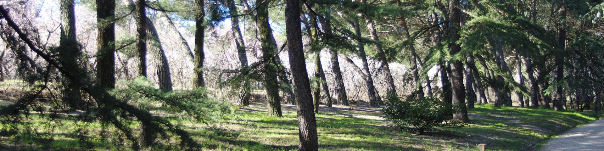 ®s K3 SD ┼ MADRID KATRESYA_PQUE. QUINTA de los MOLINOS