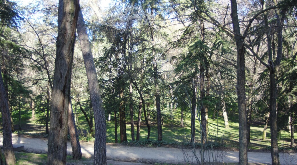 ®s K3 SD ┼ MADRID KATRESYA_PQUE. QUINTA de los MOLINOS