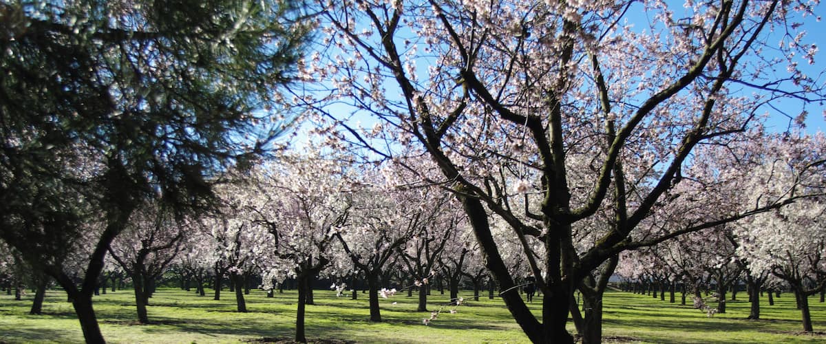 ®s K3 SD ┼ MADRID KATRESYA_PQUE. QUINTA de los MOLINOS