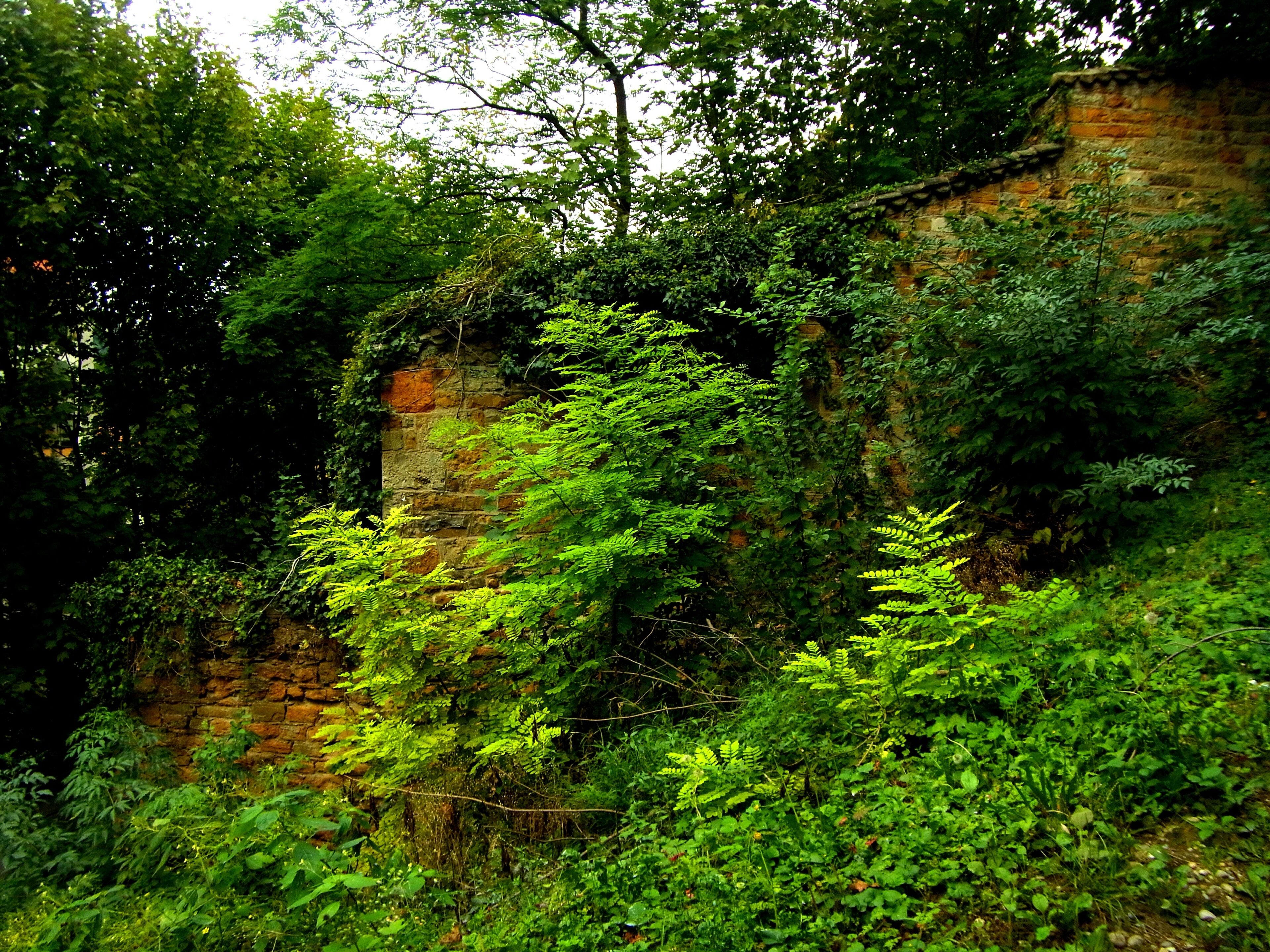 RUE DU BOIS DE LA CAILLE LYON CALUIRE