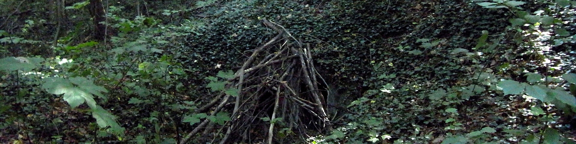LYON FRANCE Le bois de la caille
