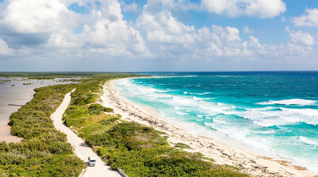 Panorama-Ansicht vom Leuchtturm Faro Celerain auf die Mangroven und die Küstenlandschaft Punta Sur im Nationalpark Eco Beach Park auf der karibischen Insel Cozumel, Kreuzfahrt in Mexiko.