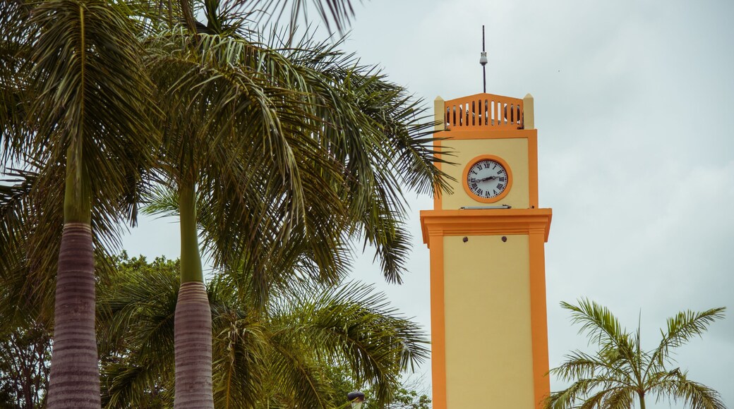 Cozumel, / Mexico - May 20017
The beautiful island of Cozumel was launched as an international tourist destination more than 50 years ago because is a safe, clean and beautiful destination.
