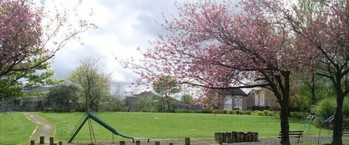 Playpark alongside Carntyne Road At the bottom of Tynecastle Crescent.