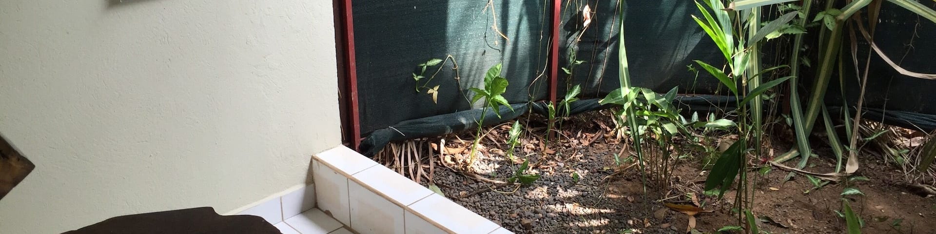The outdoor bathrooms at Cerro Lodge were pretty nifty. But warning, you may find frogs in your toilet.