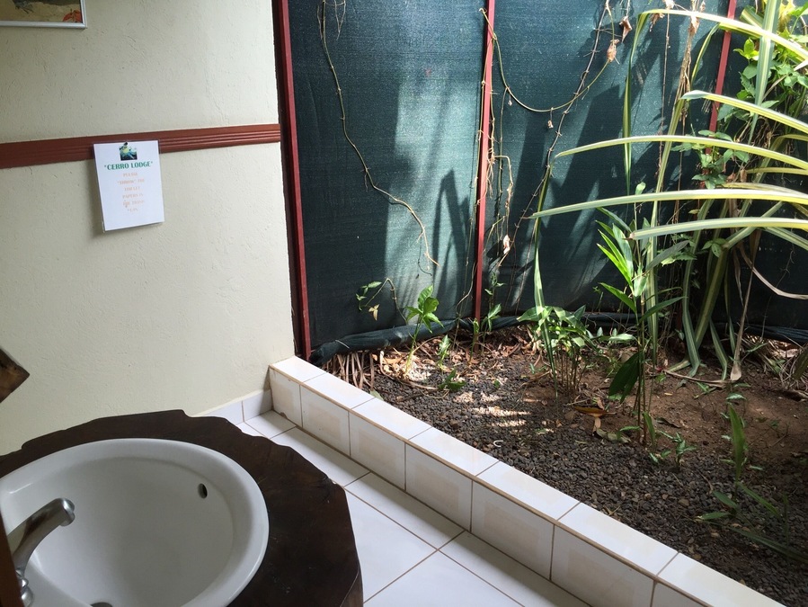 The outdoor bathrooms at Cerro Lodge were pretty nifty. But warning, you may find frogs in your toilet.