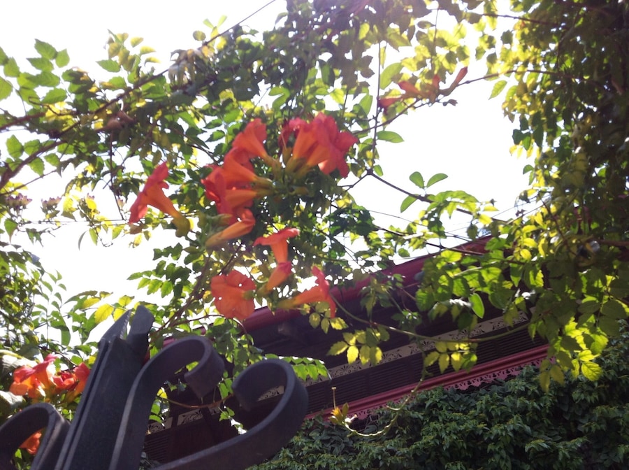 The weather was so warm and welcoming!