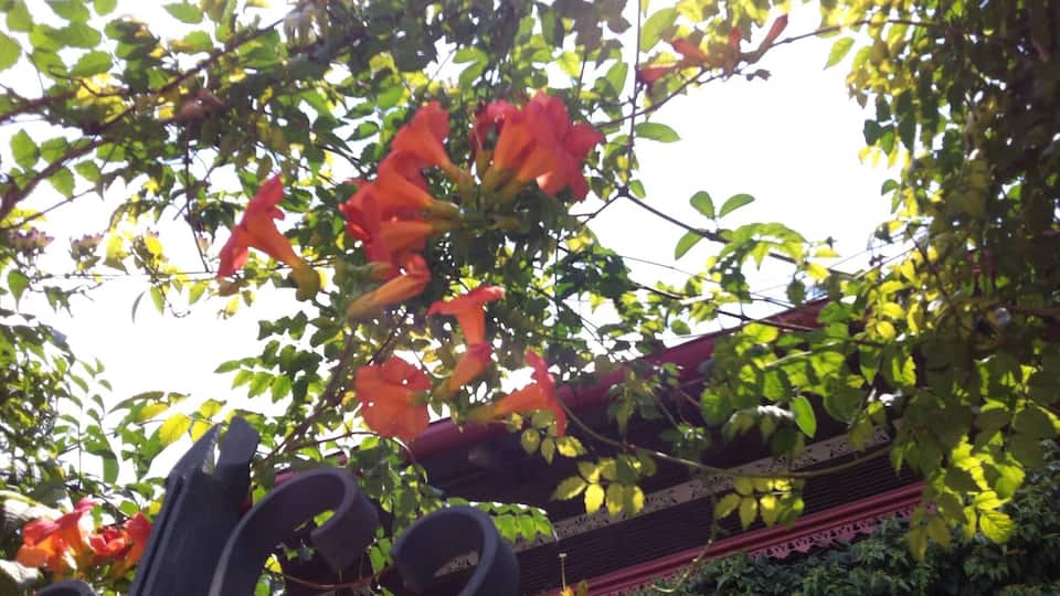 The weather was so warm and welcoming!