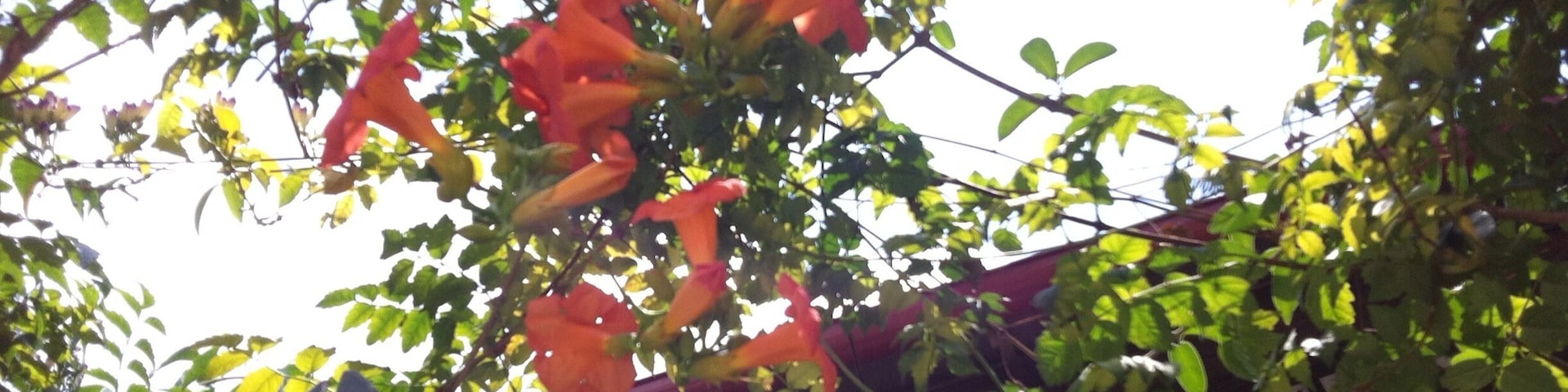 The weather was so warm and welcoming!