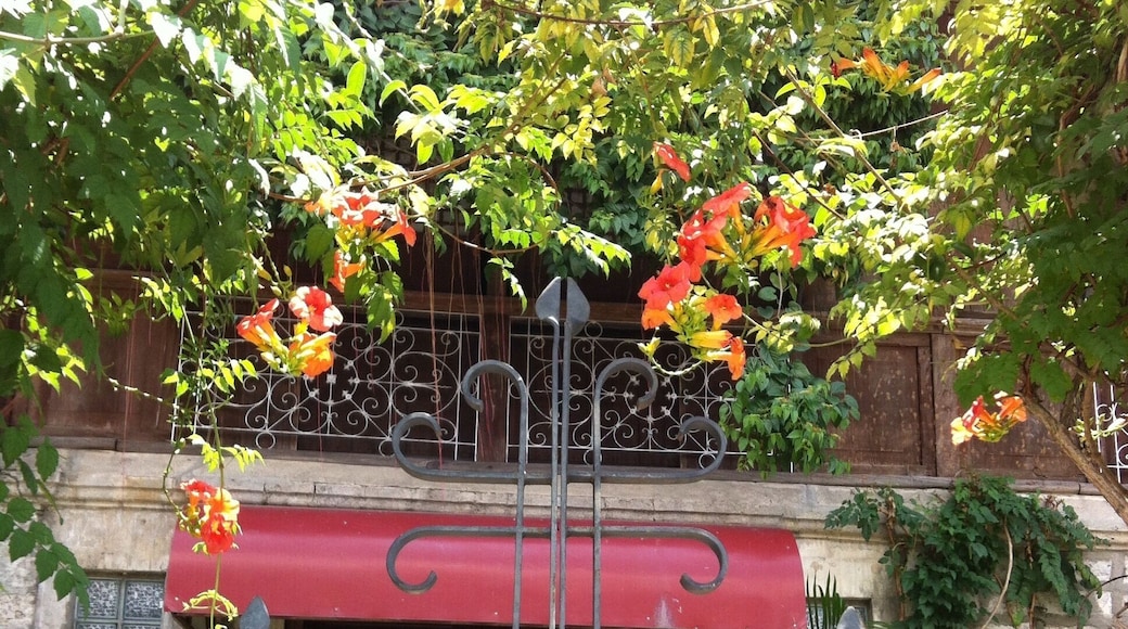 We were on our way to the venue when we accidentally passed by this well preserved antic house.