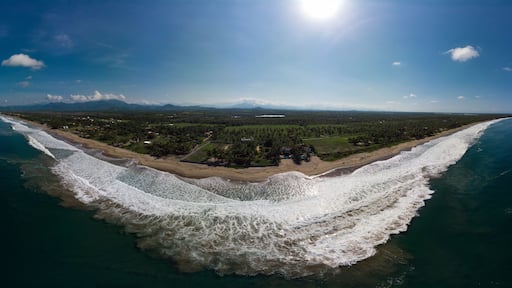 Aerial View of White Beach in "Barra de Potosi" in Guerrero Mexico