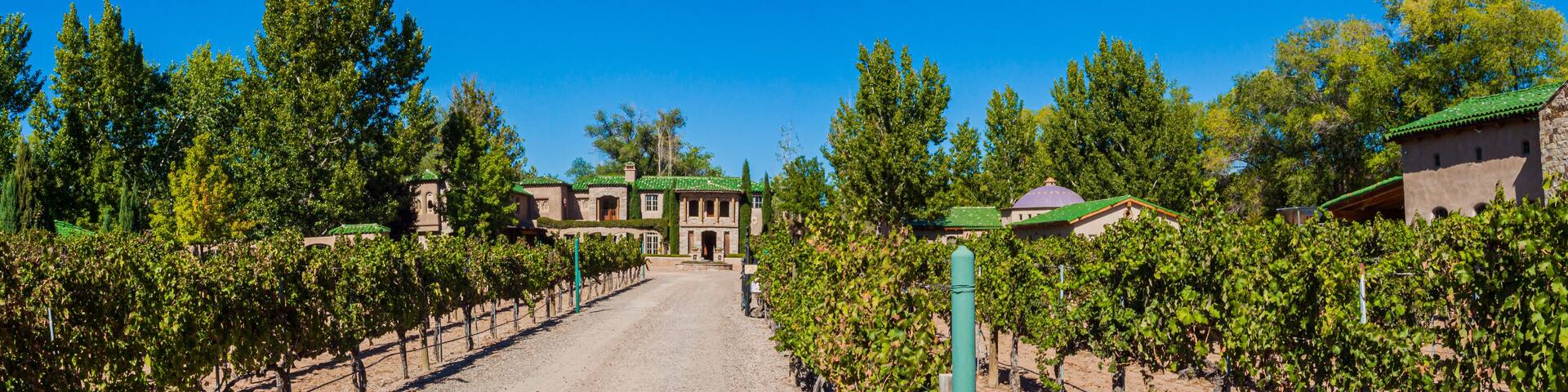 Spanish Architecture and Vineyard, Albuquerque, New Mexico, USA
